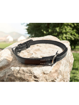 Repurposed Flash Noseband Dog Collar